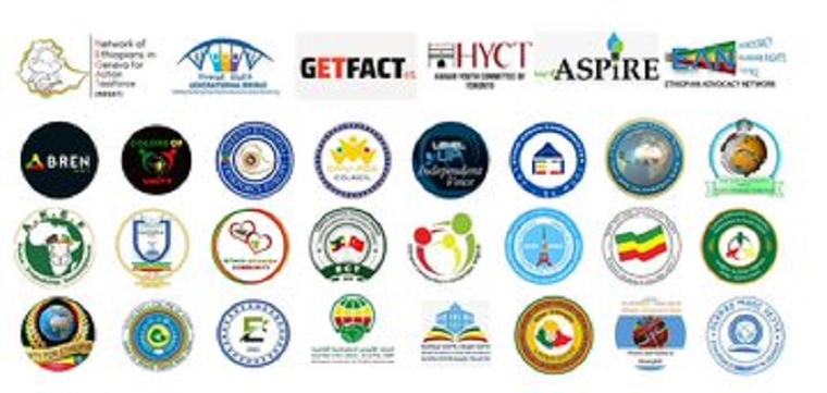 Ethiopian Diaspora Demand Egypt to Change Counterproductive Posture on GERD