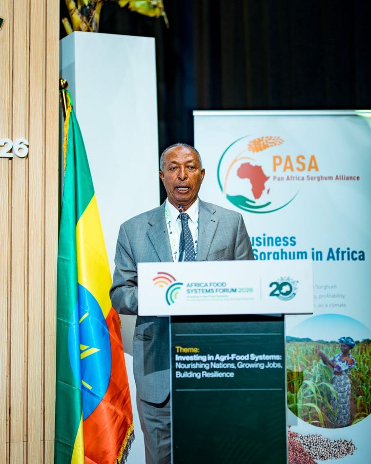 Ethiopia Positions Sorghum as Strategic Engine for Agricultural Investment, Value Addition